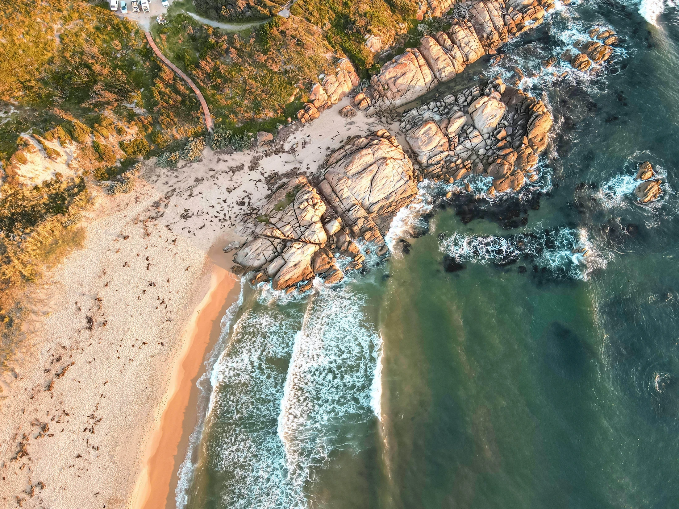 Coastal Adventures